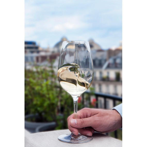 Аэрирующие бокалы для вина L'Atelier du Vin L'Exploreur Oenologie 4 шт., изображение 6