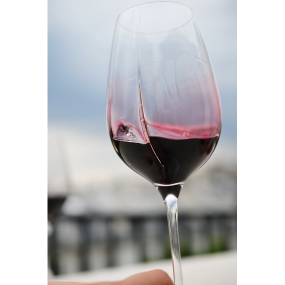 Аэрирующие бокалы для вина L'Atelier du Vin L'Exploreur Oenologie 4 шт., изображение 5