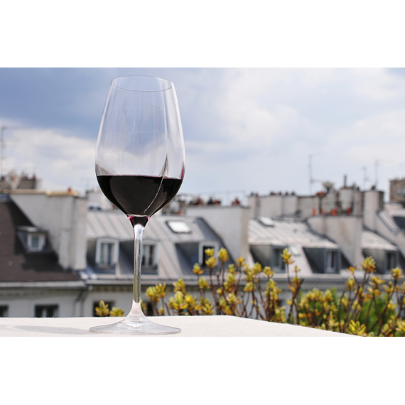 Аэрирующие бокалы для вина L'Atelier du Vin L'Exploreur Oenologie 4 шт., изображение 8