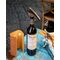 Штопор для вина  L'Atelier du Vin Soft Machine Nomad, изображение 10