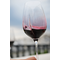 Аэрирующие бокалы для вина L'Atelier du Vin L'Exploreur Oenologie 4 шт., изображение 5
